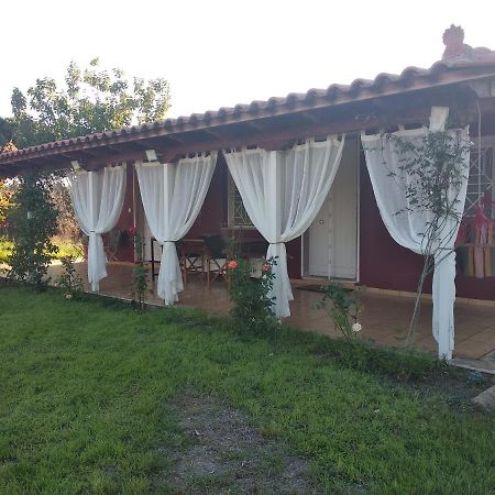 Olive Garden Guest House Kyparissia Exterior photo